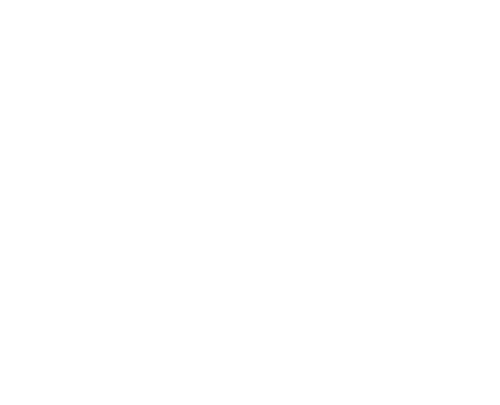Sailing Koala